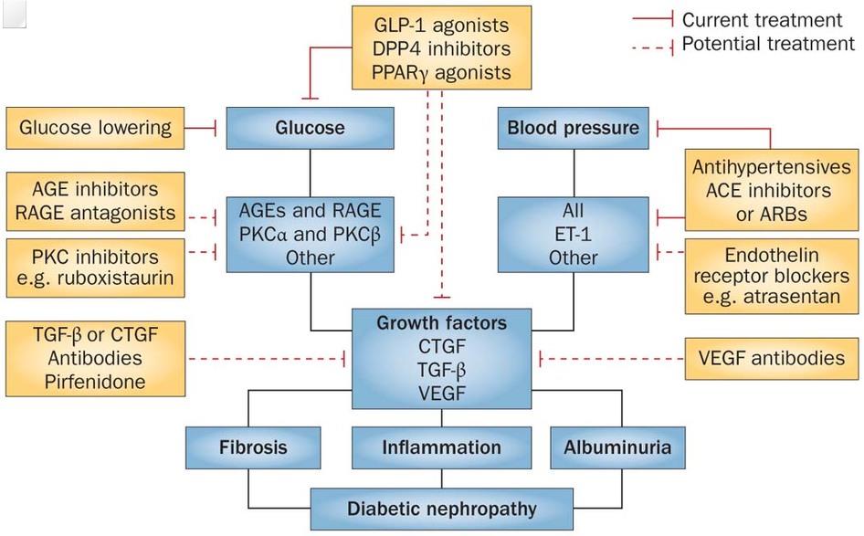 Common pathologic pathways: a single prescription dream